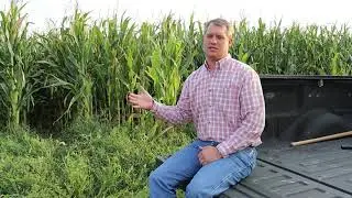 Utilizing Corn Residue