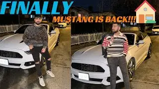 THE MUSTANG 🐎 IS BACK IN THE HOUSE🏡 🚘 