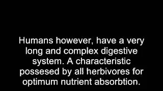 Were Humans Really Ment To Eat Meat?
