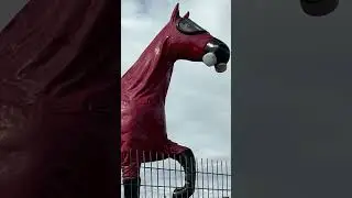 Someone told us we needed to go see the “Hazmat Horse” while we were in Denver, It didn’t disappoint