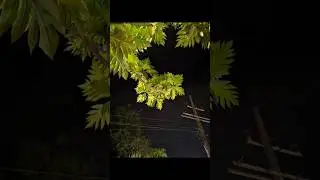 Wow‼️ Mode Malam Config iPhone 17 Gcam LMC 8.4 R18 