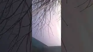 У МЕНЯ ВЫРОСЛА СОСУЛЬКА