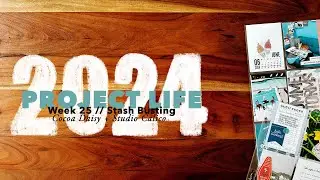 2024 Project Life // Week 25: Stash Busting