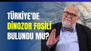 Türkiye'de Dinozor Fosili Bulundu Mu?