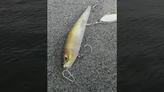 Freedom Tackle Mischief Minnow Bladed Topwater Review!