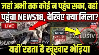 Live Bhediya Attack: जहां अभी तक कोई न पहुंच सका, वहां पहुंचा NEWS18, देखिए क्या मिला? | Breaking