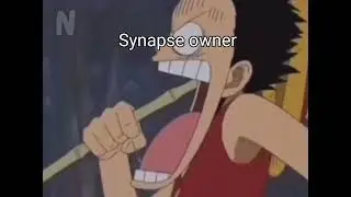 literally what happen after Synapse partner with Roblox