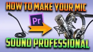 How to make your voice and microphone sound PROFESSIONAL in Adobe Premiere 2020 (voiceover)