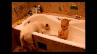 ЛУЧШИЕ видео ПРИКОЛЫ за 2014 год СиСи