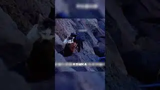 МАТЕРИНСКАЯ любовь побеждает всё 😭🔥❤️