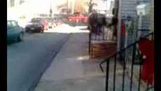 marty on his new ripstick