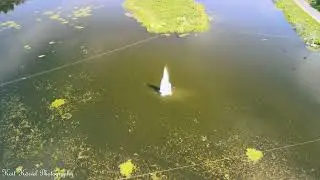 Suviselt kaunis Põlvamaa loodus! (31.07.2022. DJI Mavic Air 2)
