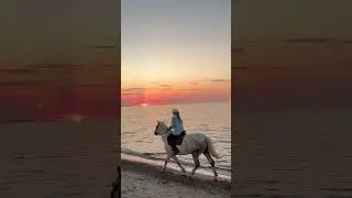 Прогулка вдоль моря. Балтика