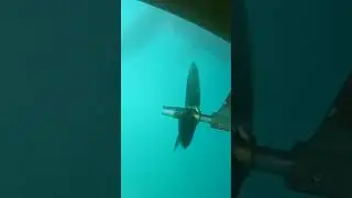 unique content! a diver near a working screw! уникальный контент яхтинга