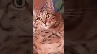 Лучшие смешные анекдот