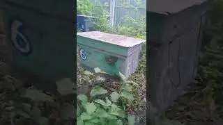 Літо жара