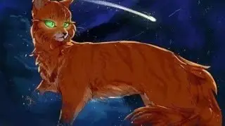 Топ 12 красивих котов воителей