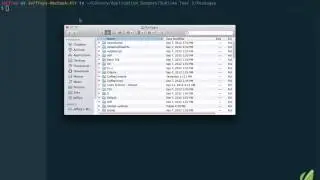 Sublime Text Perfect Workflow   009   Installing Plugins Without Package Control