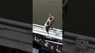 Бывает же такое!!!