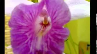 paisagem