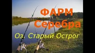 Старый Острог Фарм Часть 1
