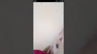 Bugo live tante remes toket