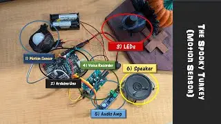 Custom Arduino Motion Sensor (AKA The Spooky Turkey)