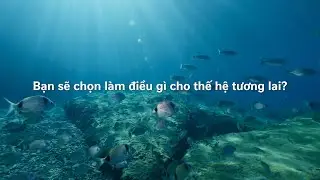 Nestlé Việt Nam Hành Động Vì Một Tương Lai Xanh Hơn