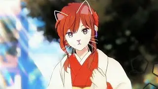 Аниме клип | Мой котик, котик, котик, котик♡ | AMV