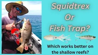 Squidtrex Vs Vibes. Which is better on the shallow reefs of Weipa?