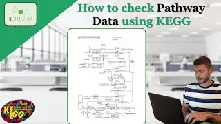 How to check Pathway Data using KEGG #kegg #pathway #data #bioinformatics #science