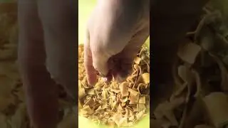 ASMR soap/ мыло/ хруст мыла