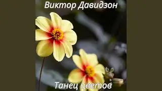 Хочешь я пойду с тобой рядом