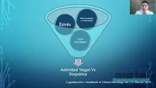 Monitorización del Índice de Analgesia Nocicepción (ANI)