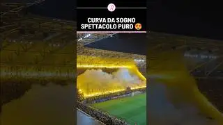 Una CURVA PAZZESCA come NON L'AVETE MAI VISTA 🏟️💥😍 #shorts #footballfans #football #calcio