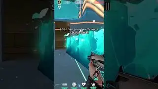 BEST SAGE PLANT SPOTS PEARL B SITE 