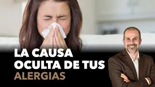 La causa oculta de tus alergias | Tipos de alergias que podrías estar ignorando