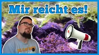 Das lässt mir die Galle steigen | Aqua Talk zu einem brisantem Thema