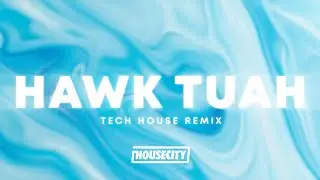 Hawk Tuah (Spit On That Thang) - Tech House Edit (Remix)