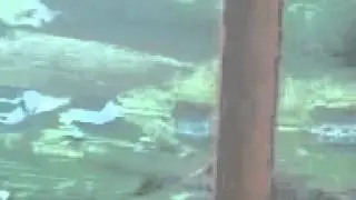 Snimak sa Repetitora u Becu