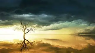 Henderson - Delusions
