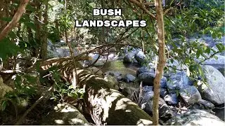 Bush Landscapes...#bushscenery #bushcamping