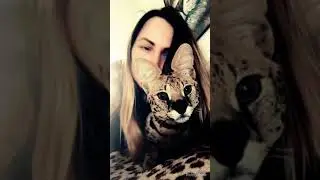Наш сладкий сервал