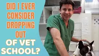 Did I ever consider dropping out of vet school?