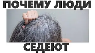 ПОЧЕМУ МЫ СЕДЕЕМ | Как устранить седину волос как избавится от седины