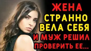 Жена начала подозрительно вести себя, и тогда муж решил проверить ее. Истории измен
