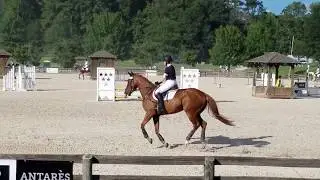 Show Jumping at Chatt 9-1-2018 - Ima Iny Too