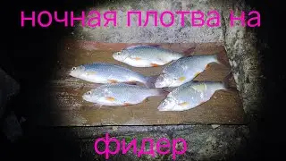 Зачётная плотва на Фидер.плотва в Запорожье.Рыбалка в Запорожье 2021