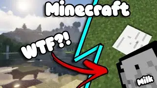 Creating a Cursed Minecraft Mod#1