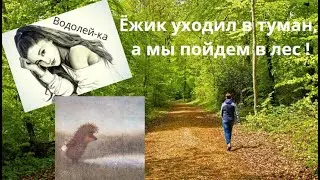 Ёжик уходил в туман, а мы пойдем в лес !